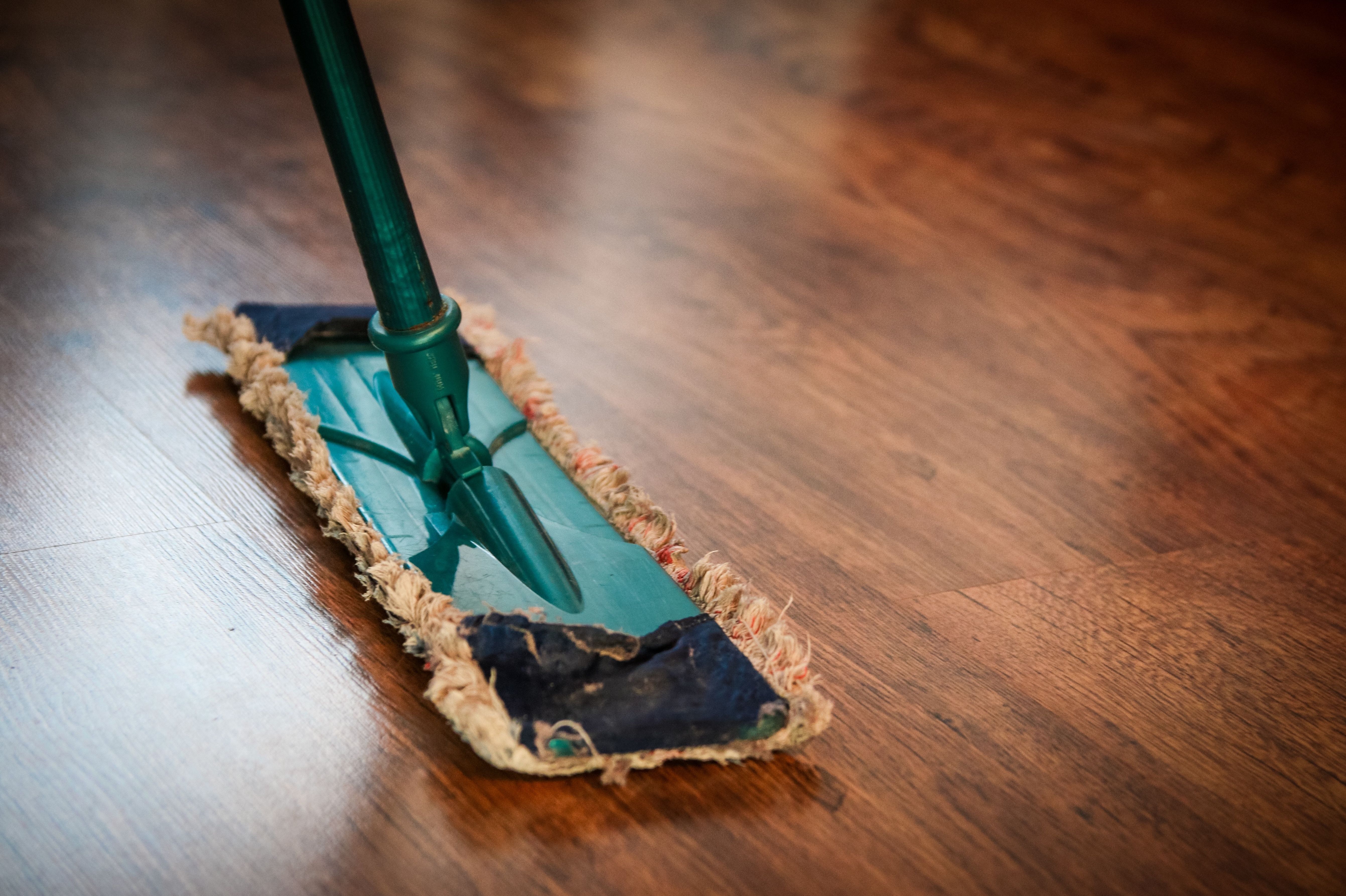 Cleaning Service Amsterdam Noord-Holland Netherlands