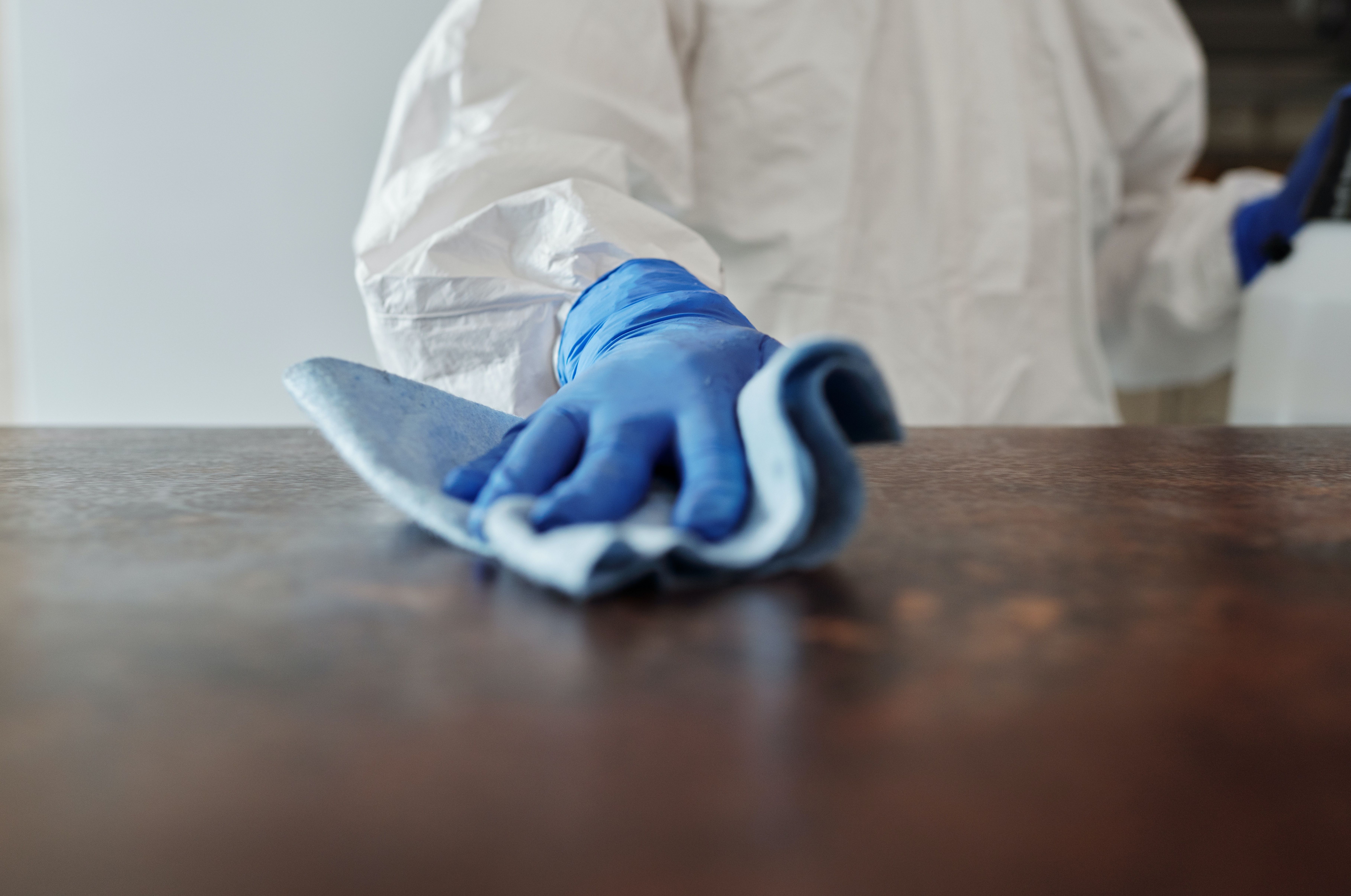 Apartment Cleaners Near Me Amsterdam Netherlands