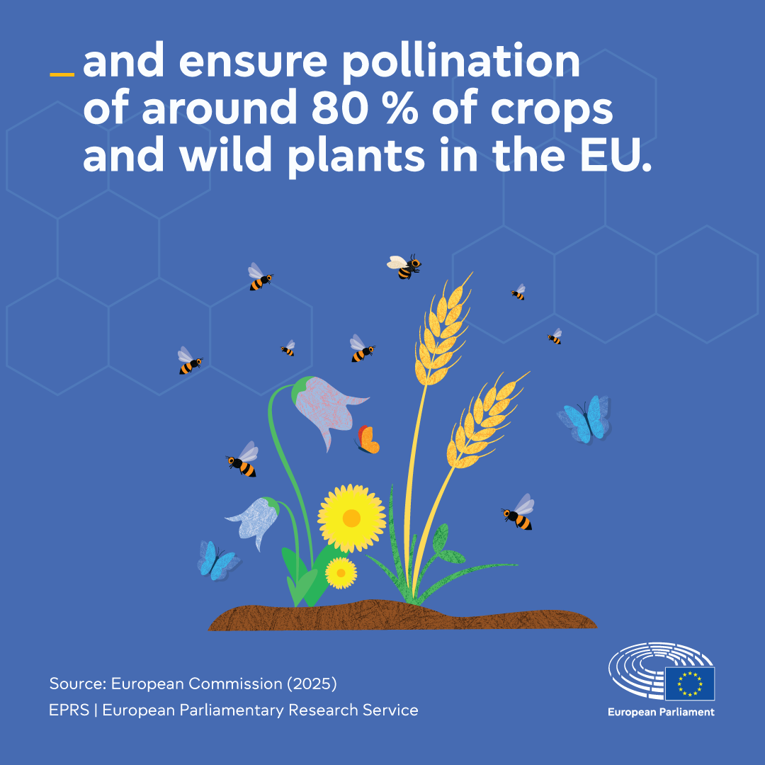 Bees and pollinators