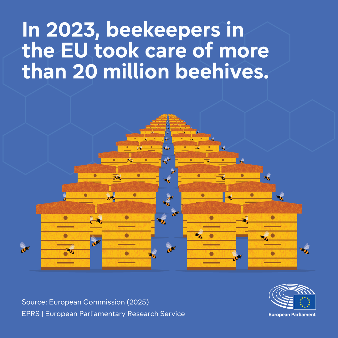 Bees and pollinators
