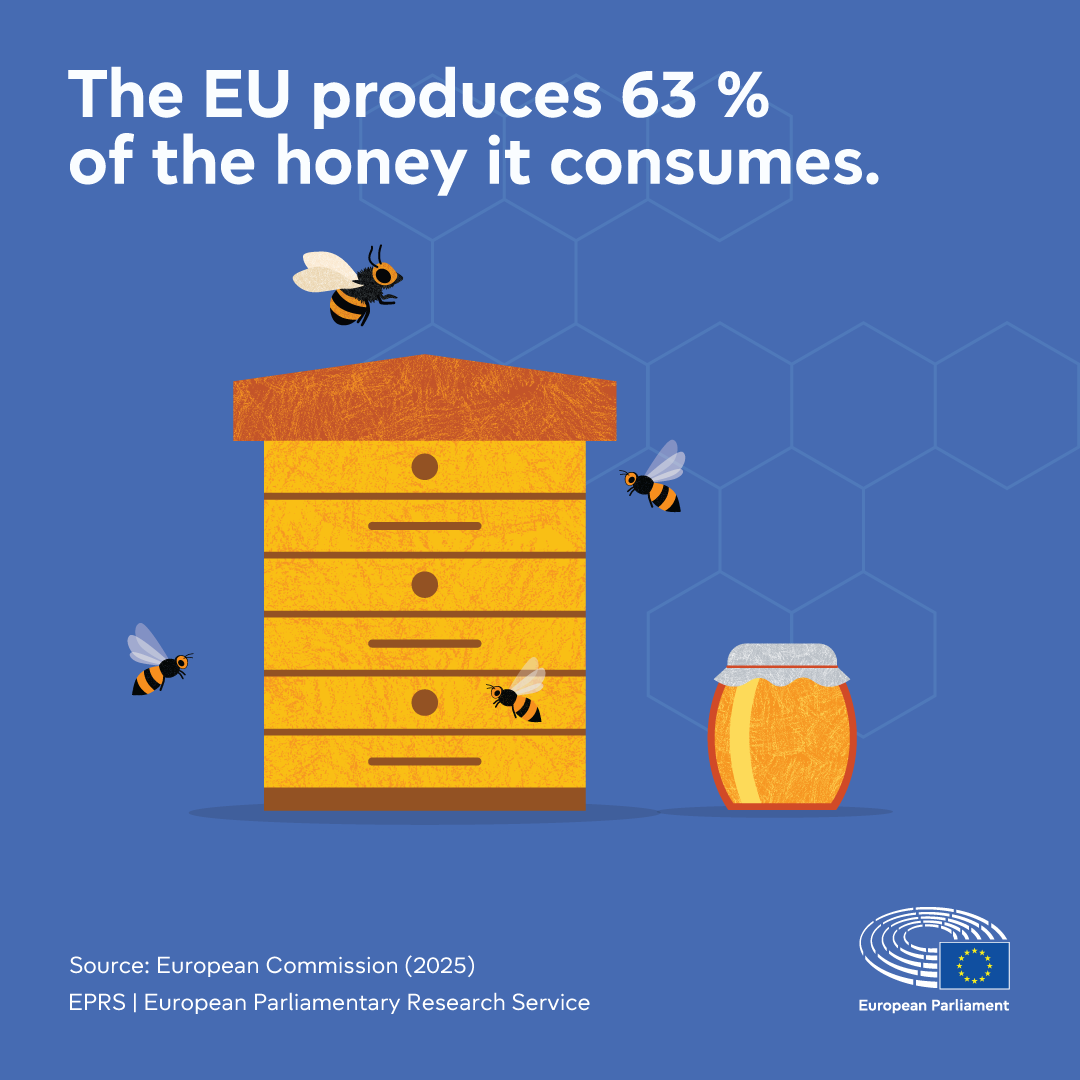 Bees and pollinators