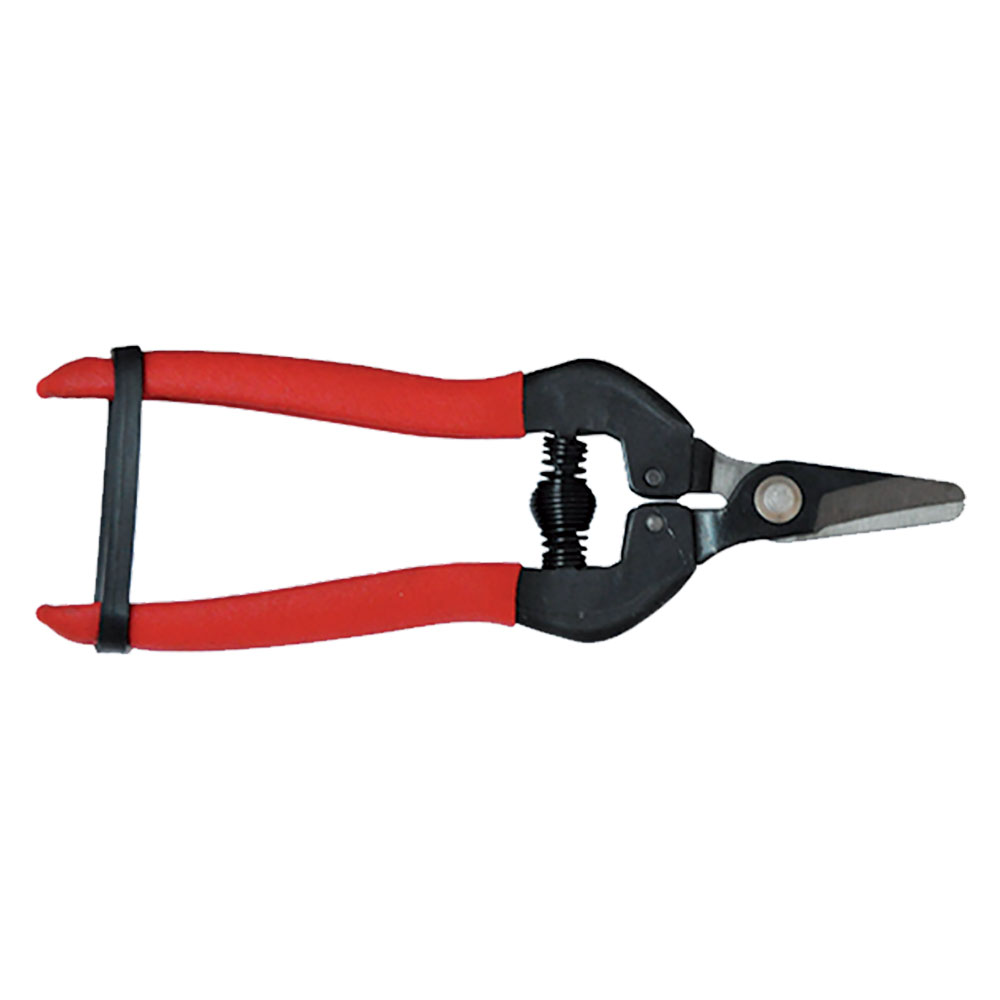 FORBICI COGLIUVA cm 16