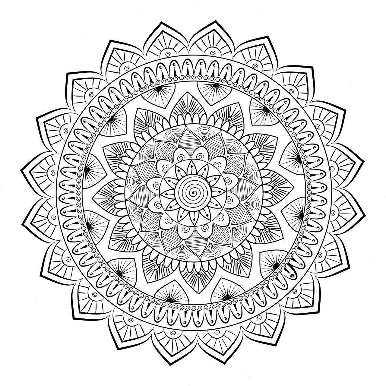 Reiki Healing Seattle Washington