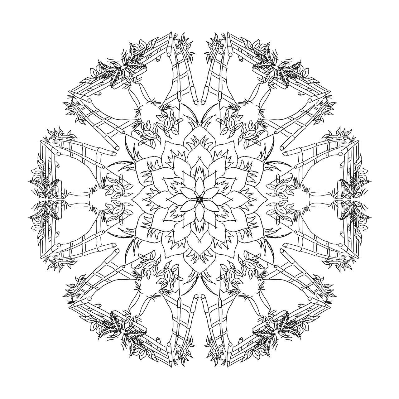 Reiki Healing Washington