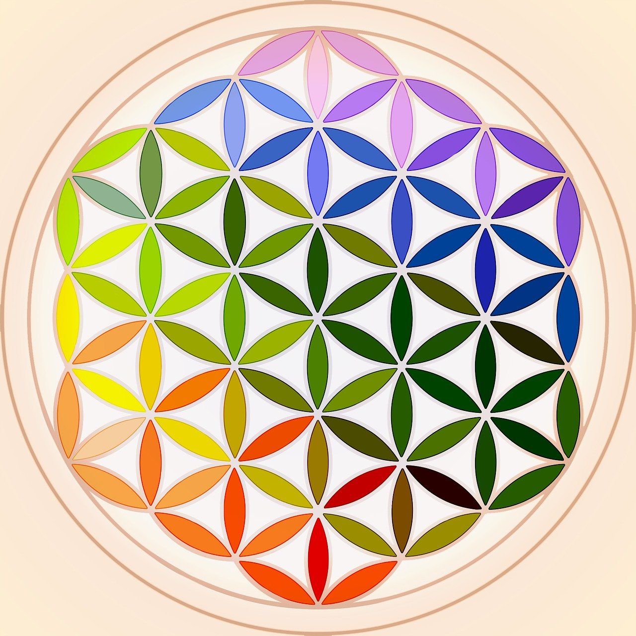 Reiki In Arlington Washington
