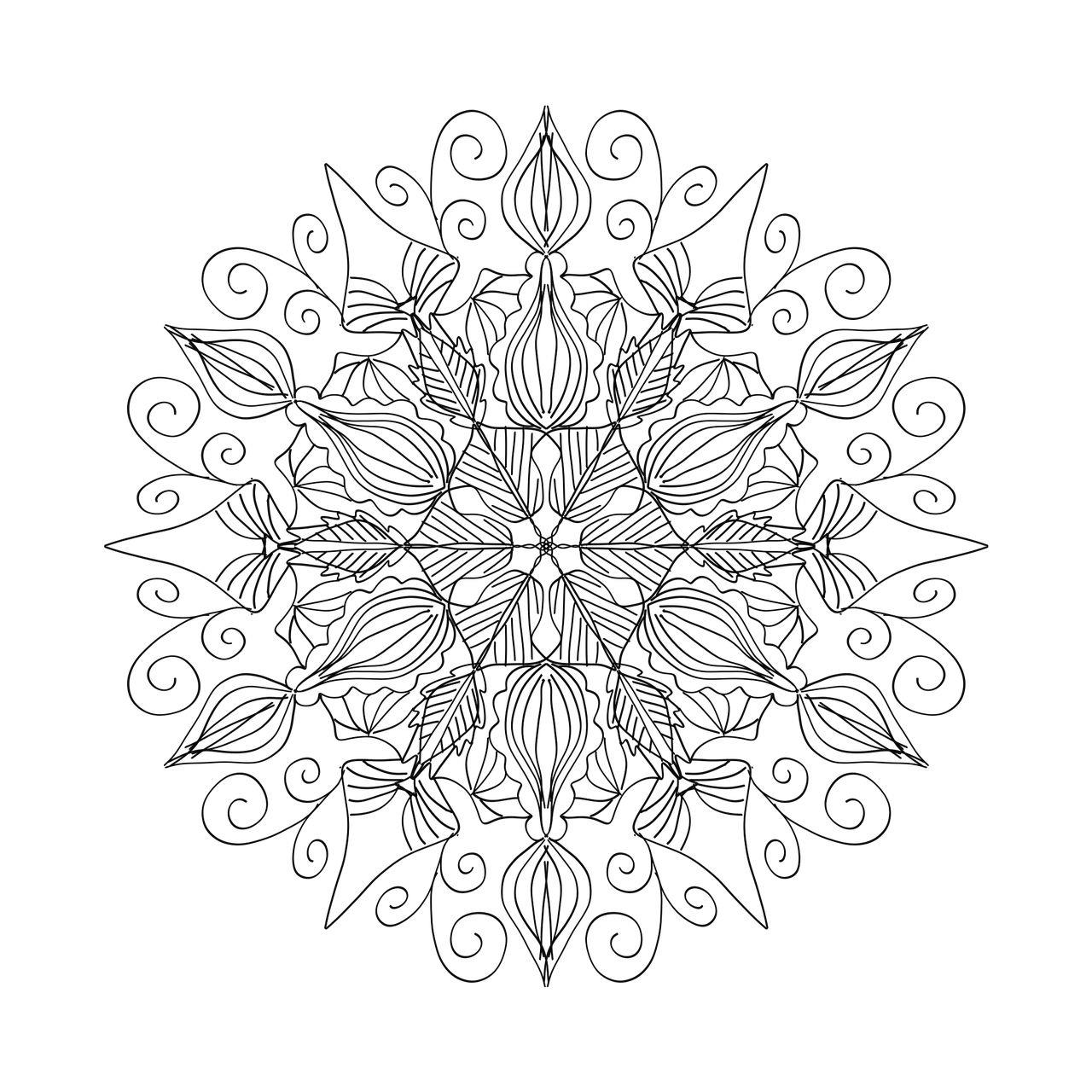 Reiki Washington