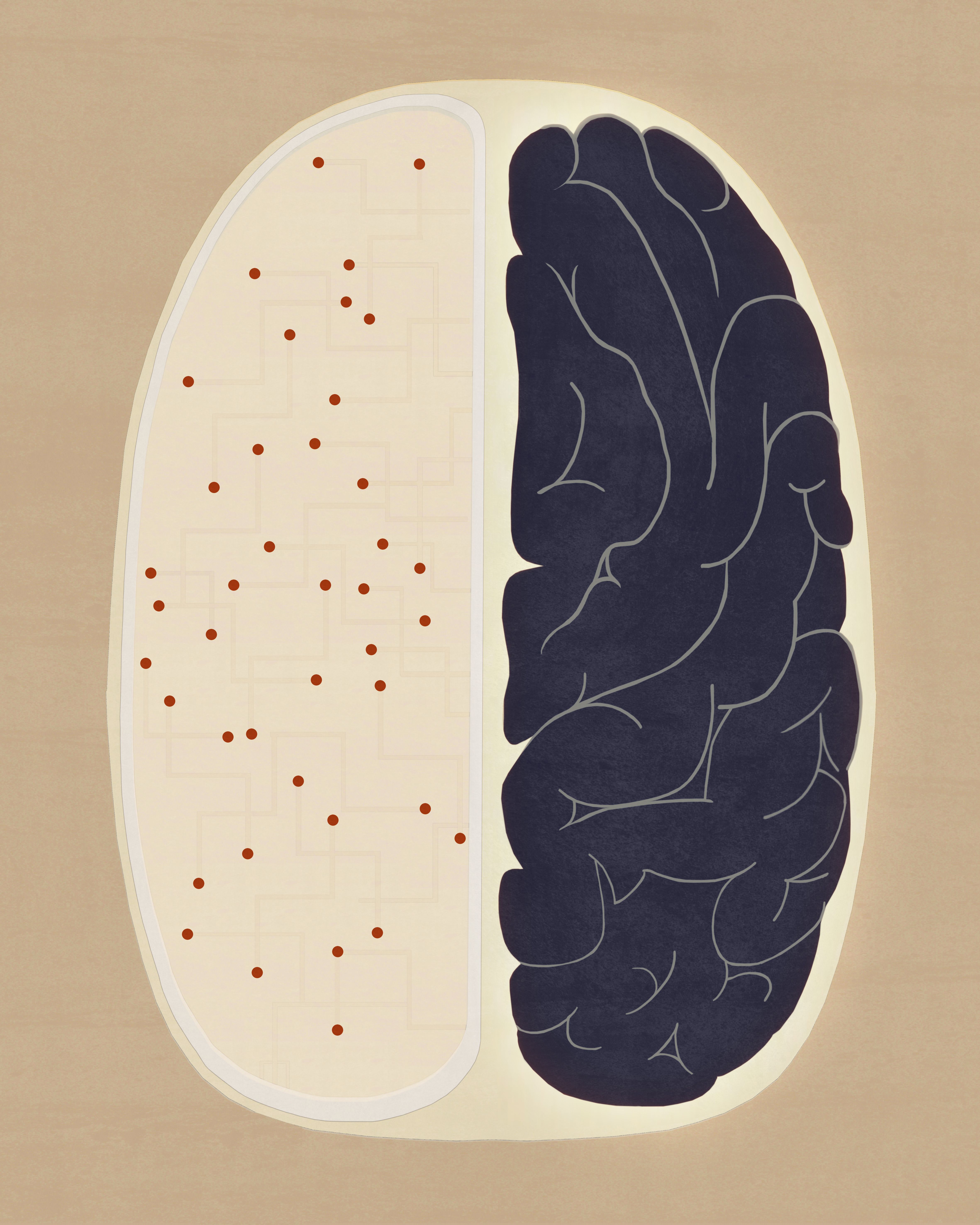 Illustrations by Jon Koko